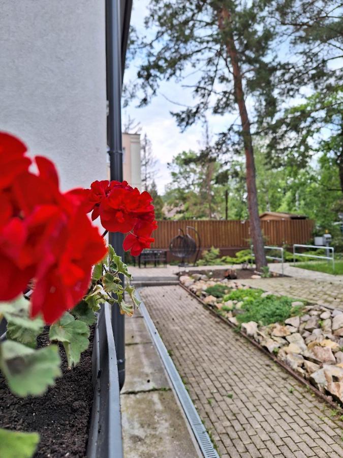 Bed and Breakfast Diana Panzio Mátrafüred Zewnętrze zdjęcie
